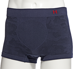 Hanes H