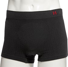 Hanes H