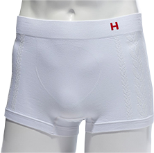 Hanes H