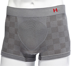 Hanes H