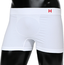 Hanes H