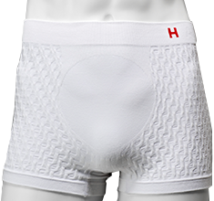 Hanes H