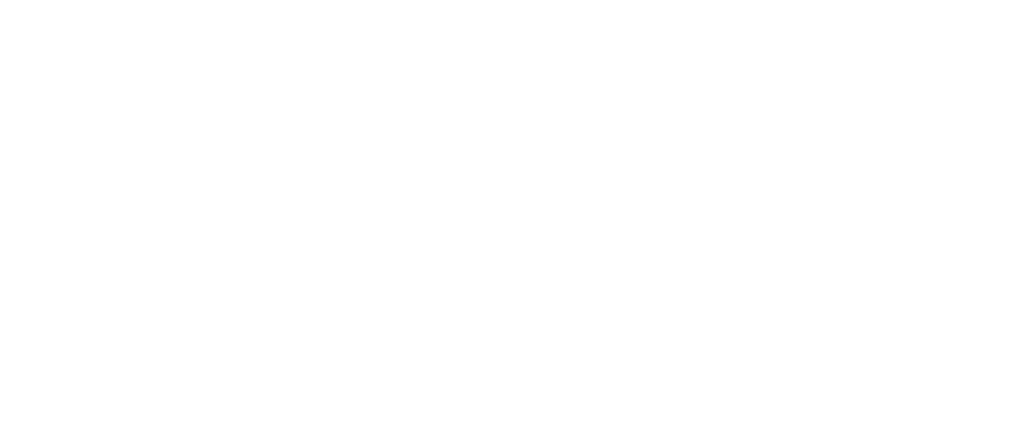 Bottom logo